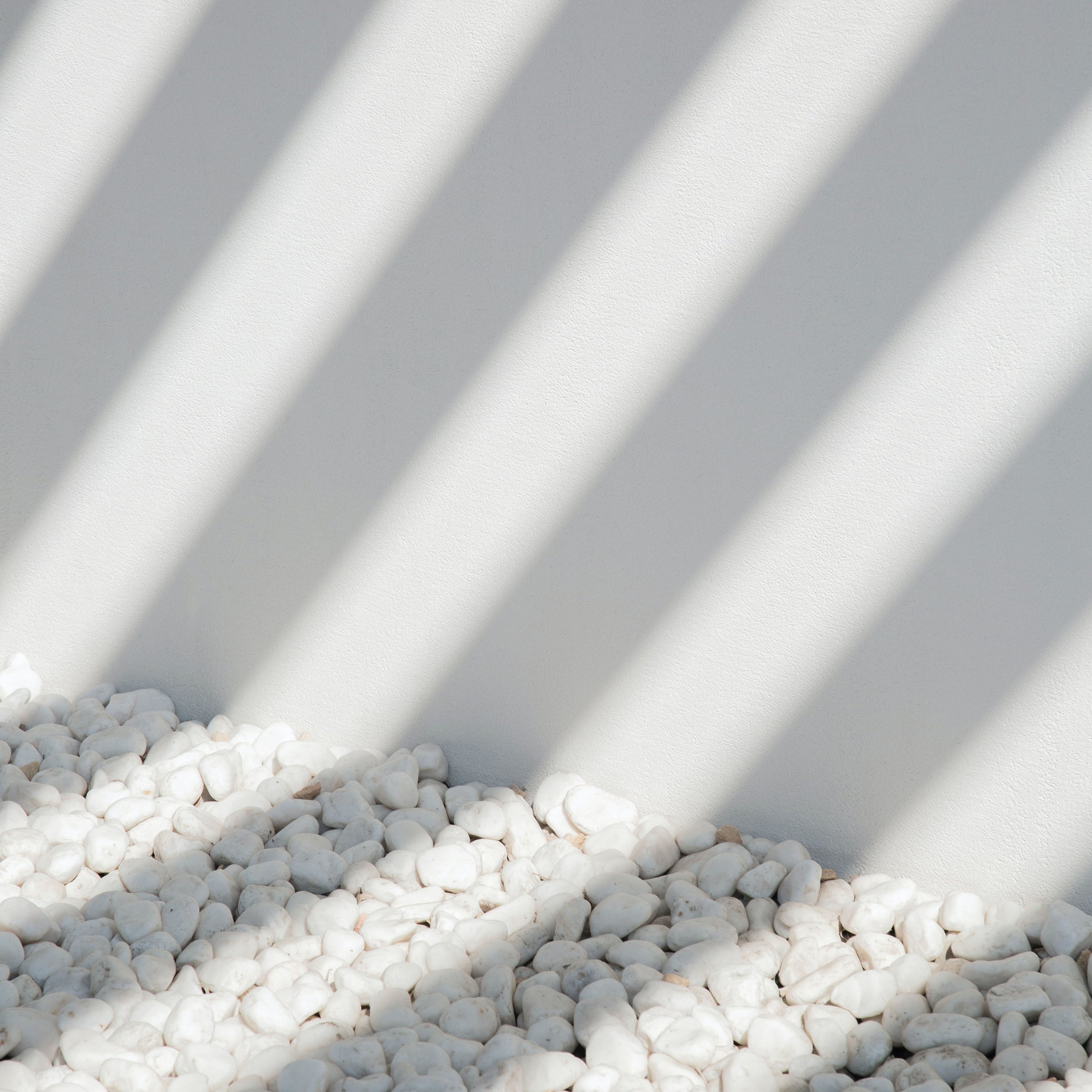 white collection